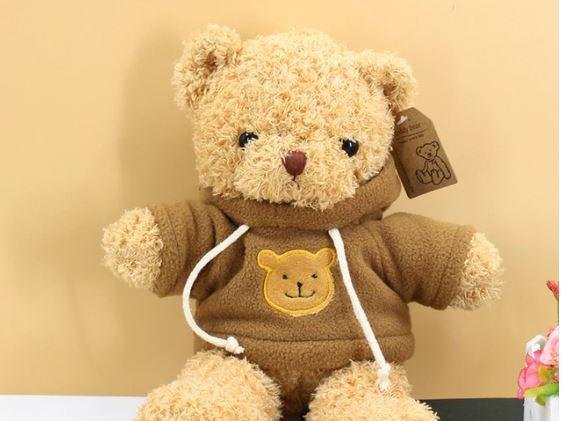 Kuschelbär Braun Für Den Winter