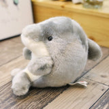 Delfin Kuscheltier Klein