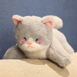 Hai Katzen Kuscheltier