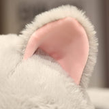 Hai Katzen Kuscheltier