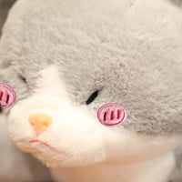 Hai Katzen Kuscheltier