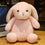Kuscheltier Hase Baby