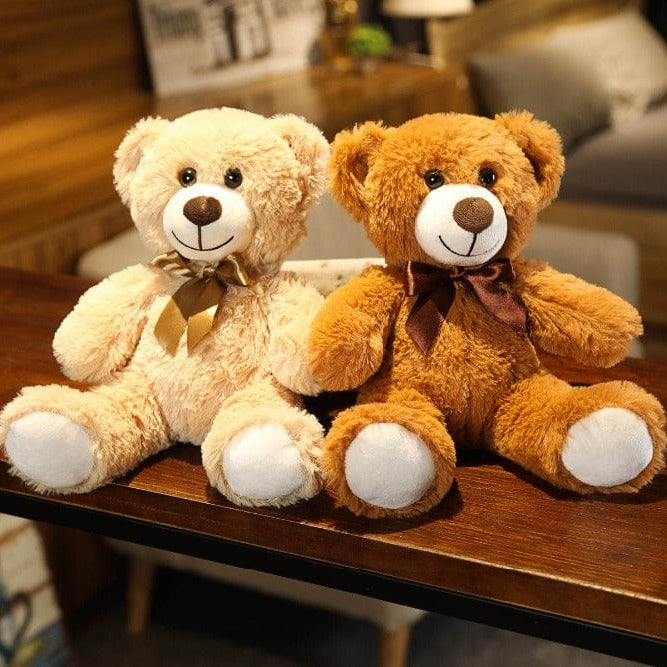 Kleiner Süßer Teddybär