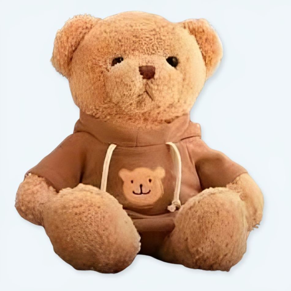 Kuschelbär Braun Für Den Winter