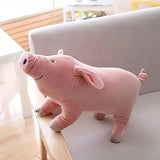 Kuscheliges Schwein Plüschtier Rosa