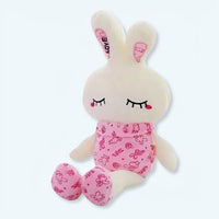 Leuchtendes Rosa Häschen Kuscheltier