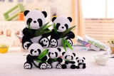 Panda Stofftier