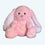 Kuscheltier Hase Rosa Mit Nachtlicht