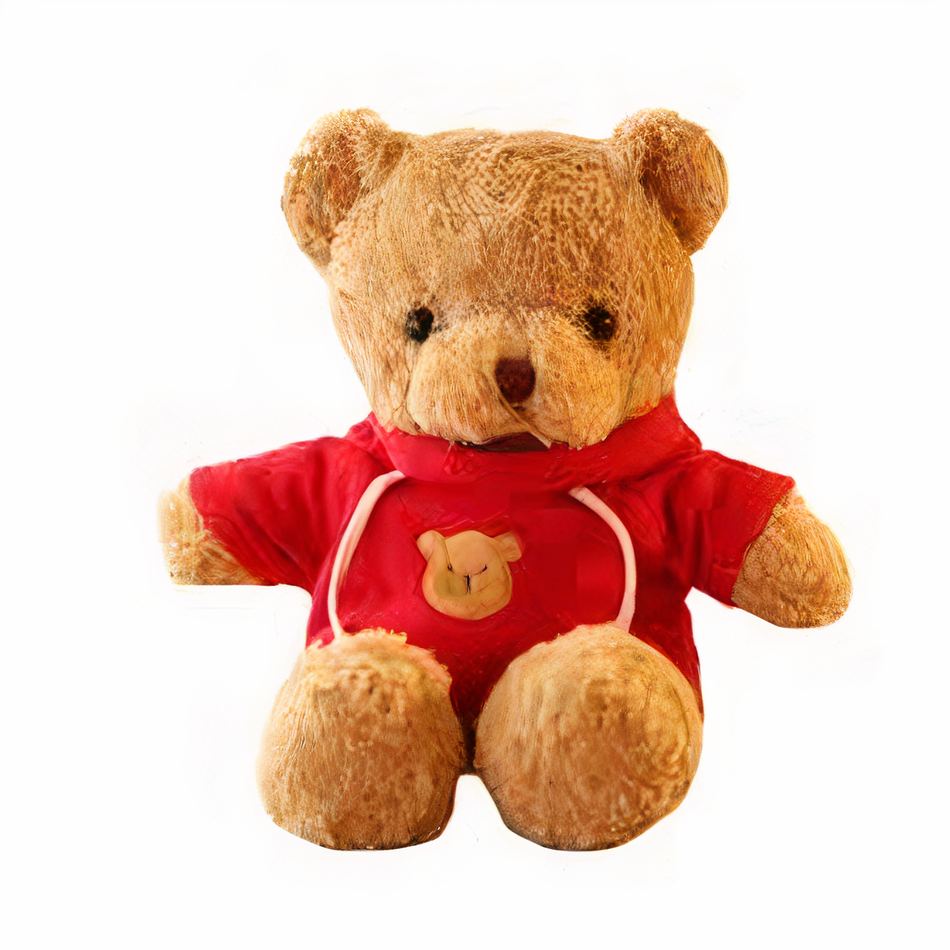 Roter Teddybär Kuscheltier