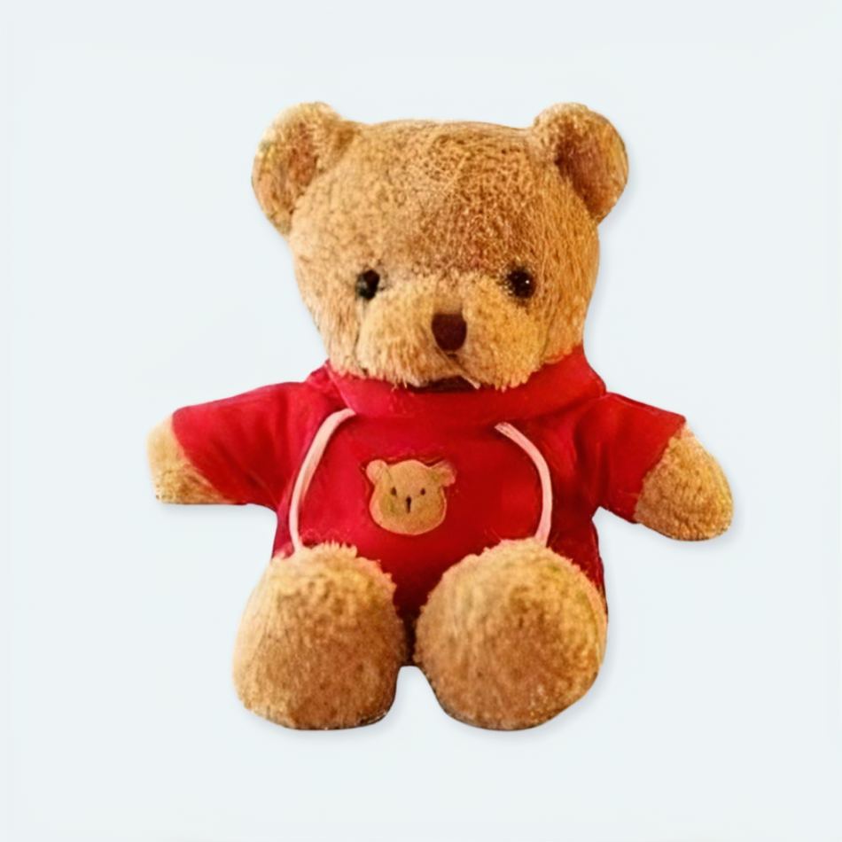 Roter Teddybär Kuscheltier