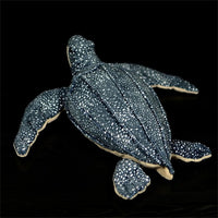 Schildkröten Kuscheltier