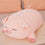 Schwein Kuscheltier Schlafend Rosa