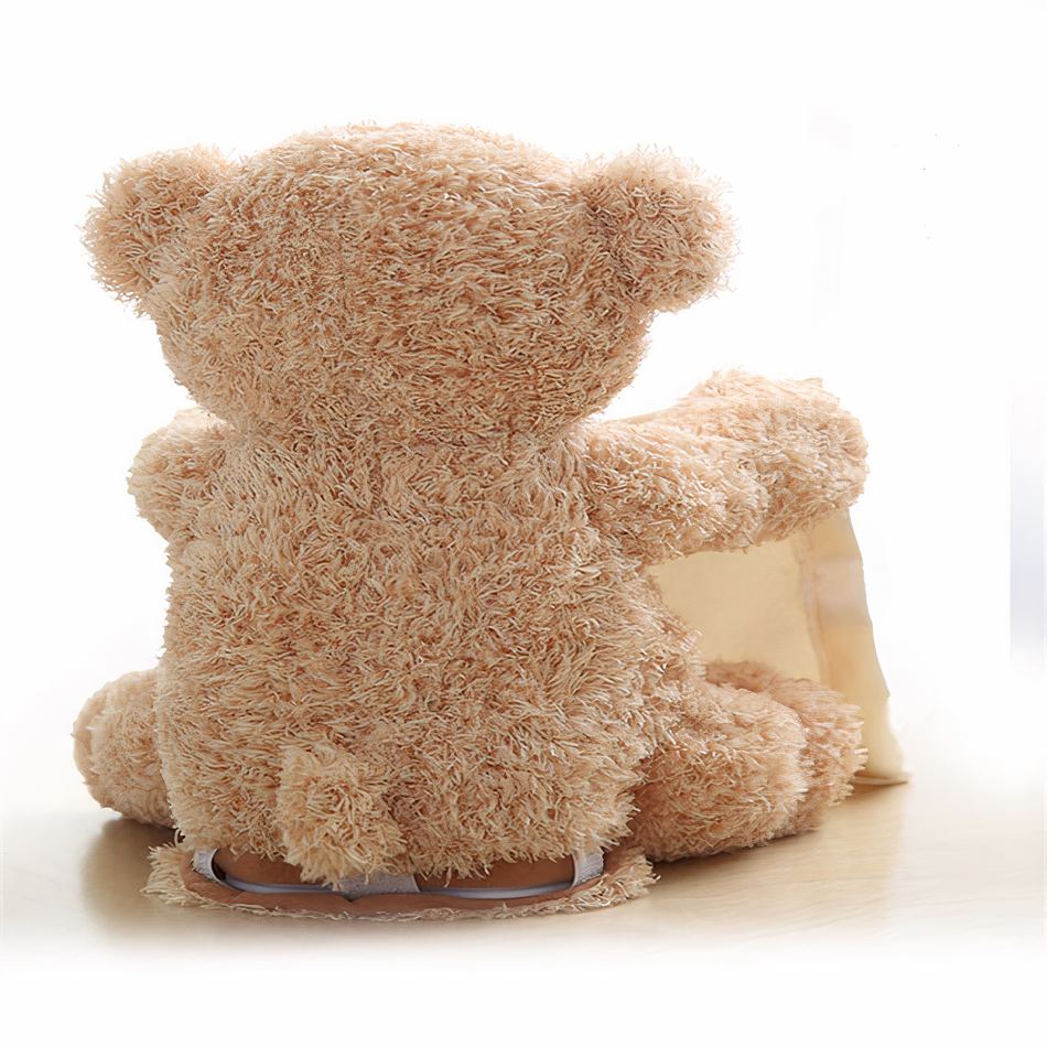 Spielzeug Teddybär