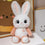 Kuscheltier Hase Superweich Kawaii