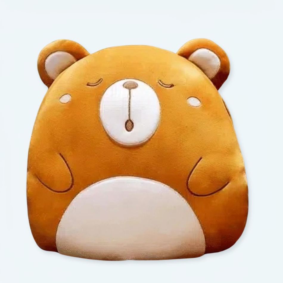 Teddybär Kissen Für Kinder