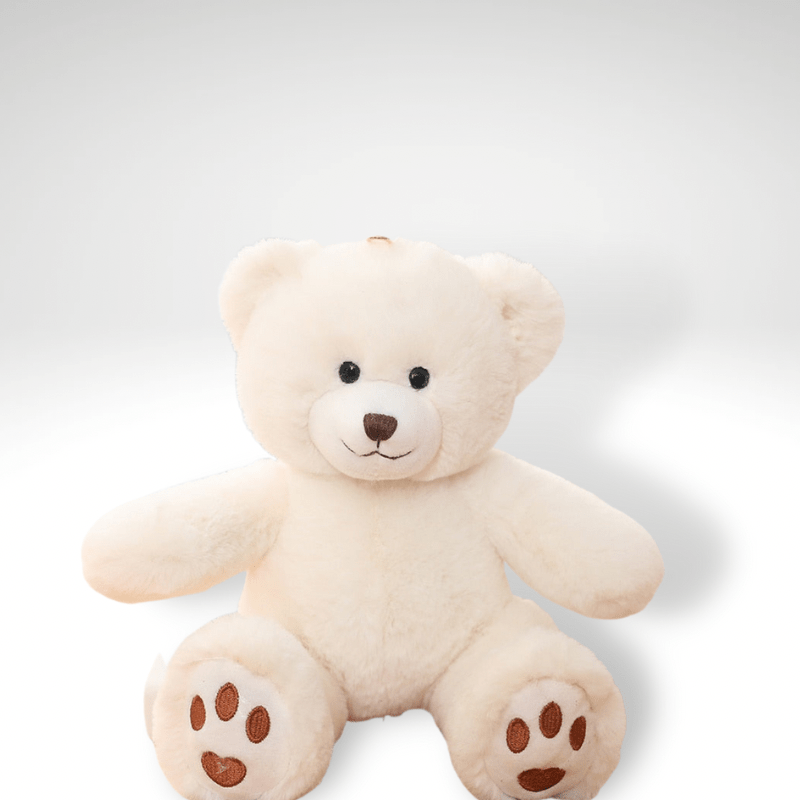 Teddybär Klein 35 cm Weiß