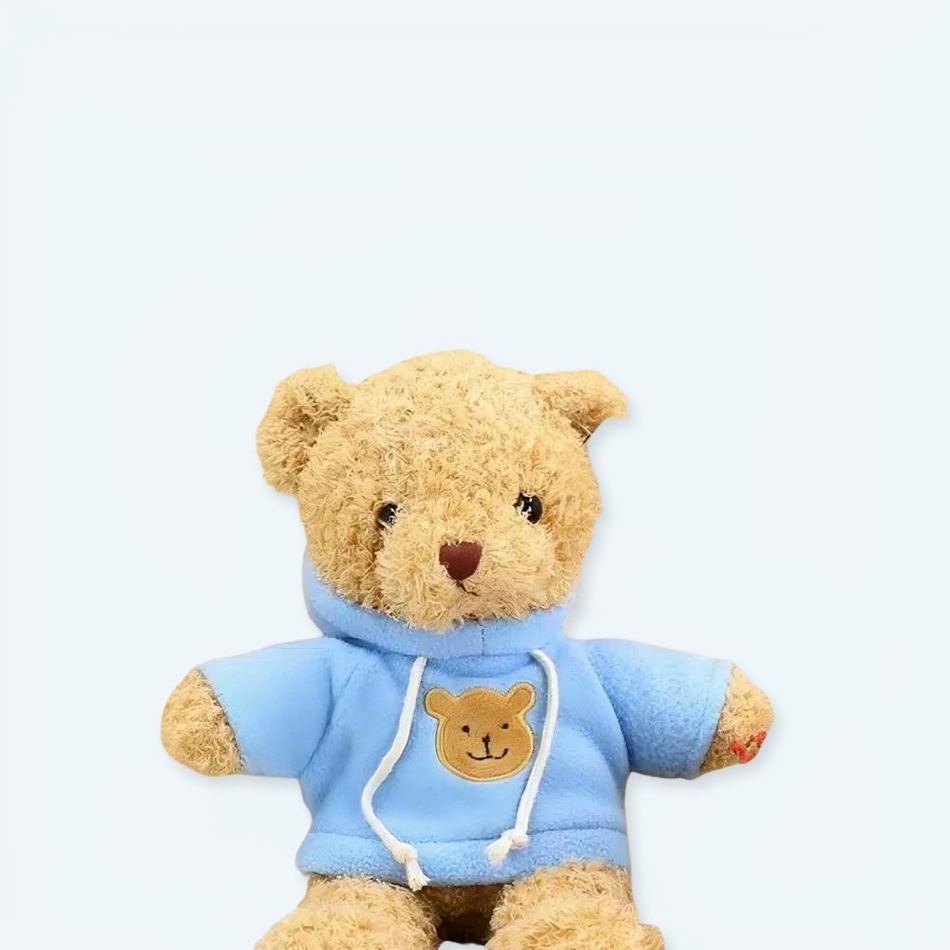 Teddybär Mit Blauem Pullover