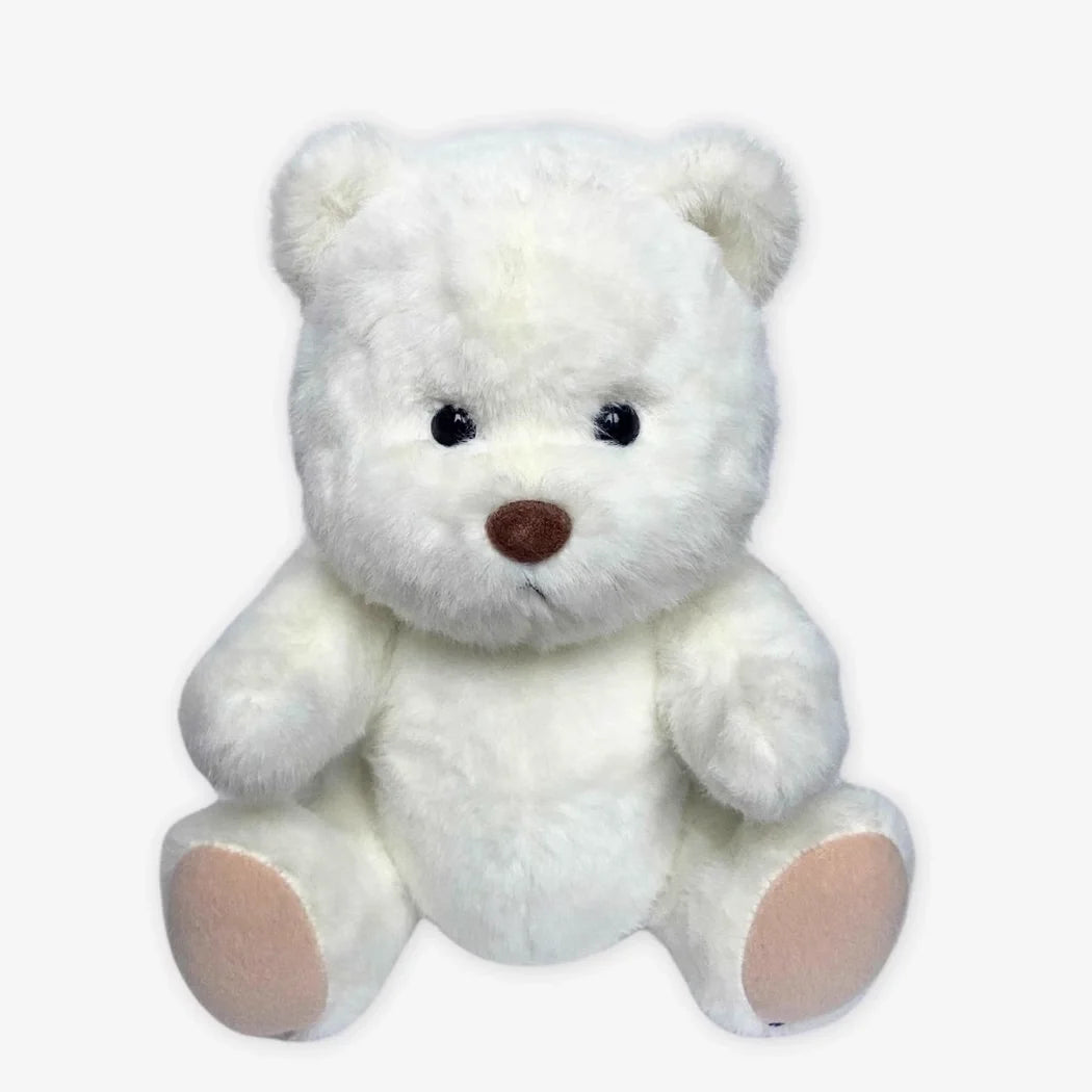 Teddybär Zum Kuscheln