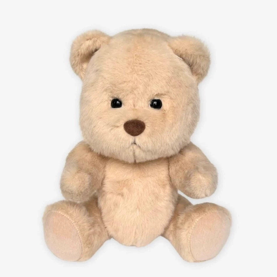 Teddybär Zum Kuscheln