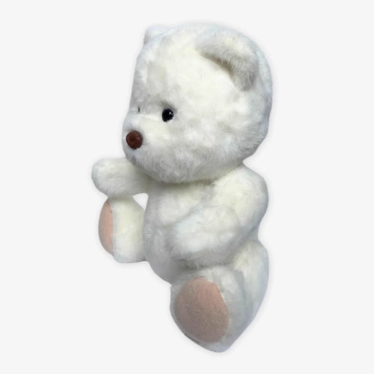 Teddybär Zum Kuscheln