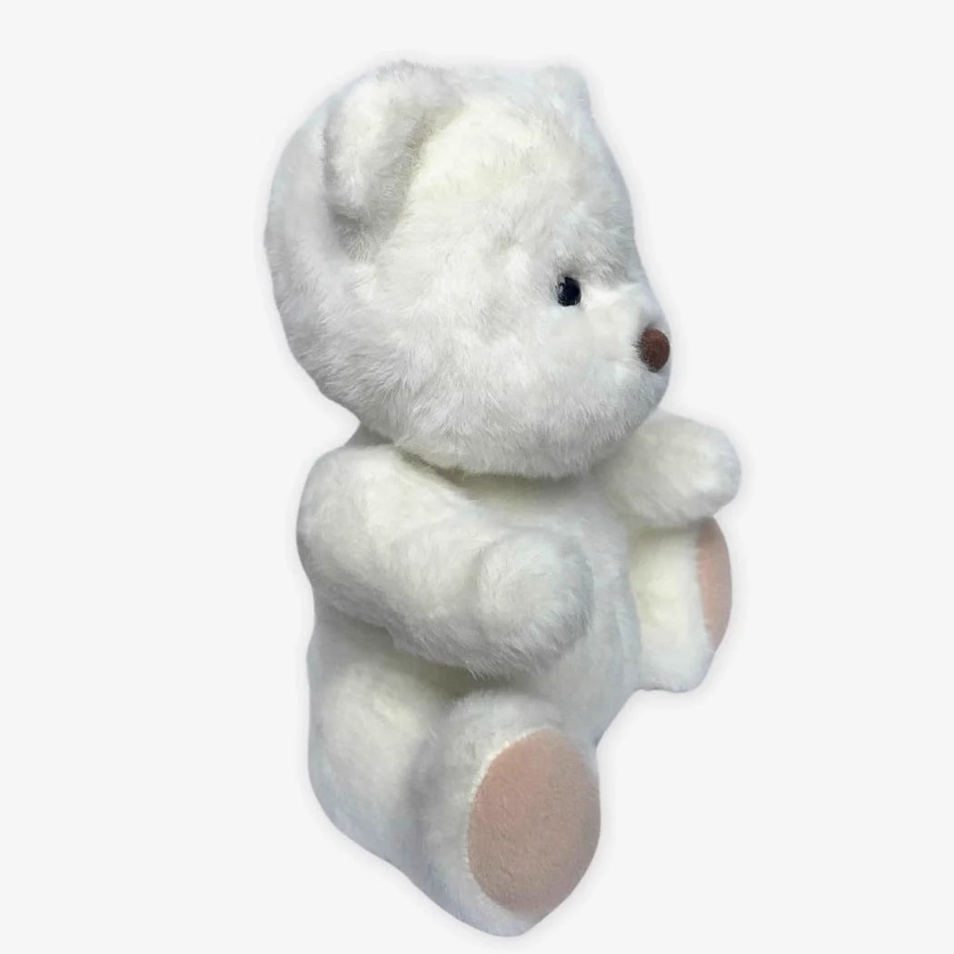 Teddybär Zum Kuscheln