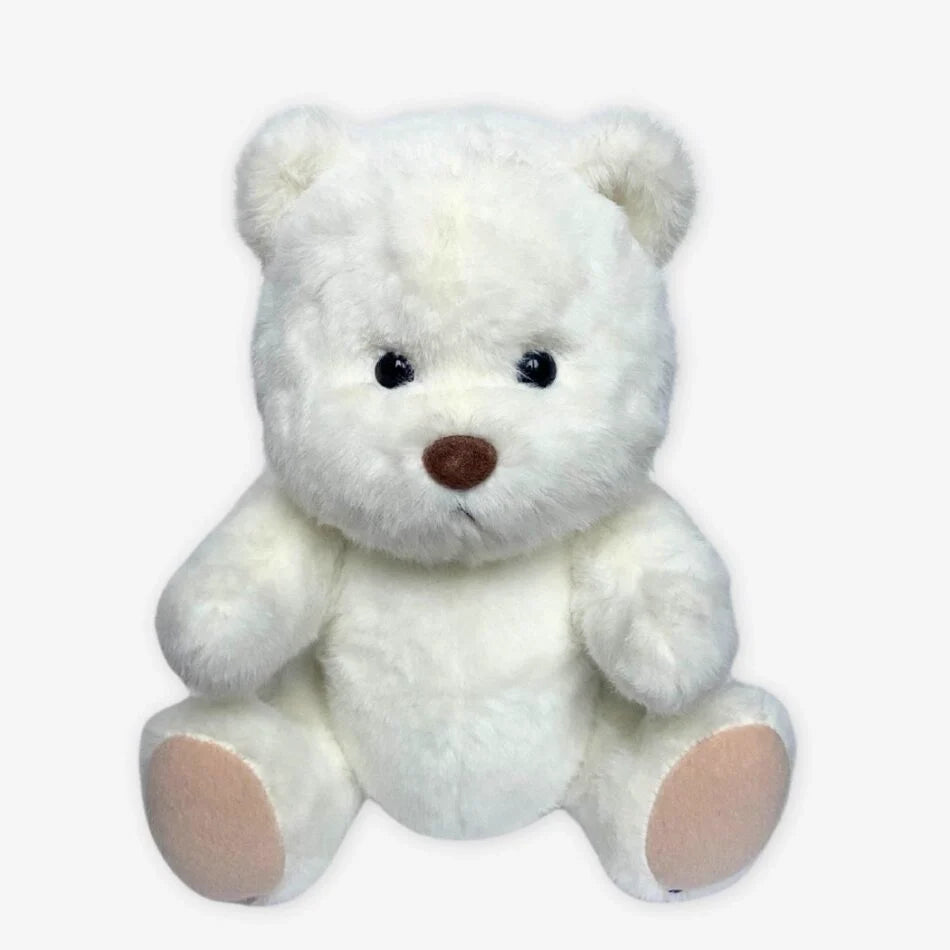 Teddybär Zum Kuscheln Weißer Bär