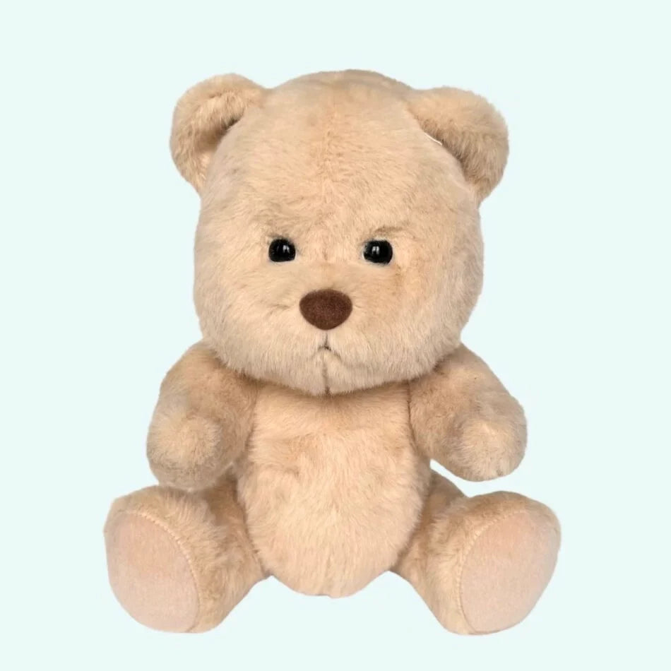 Teddybär Zum Kuscheln