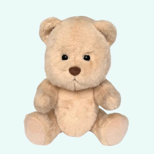 Teddybär Zum Kuscheln