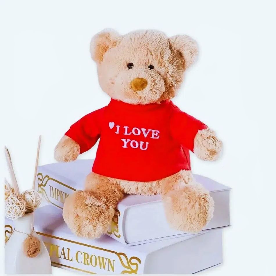 Valentinstag Geschenk Teddybär